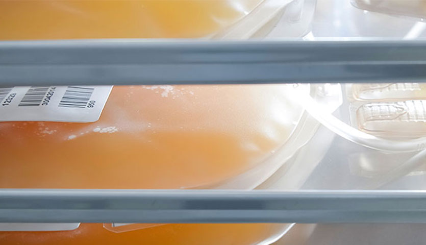 two orange platelets packs