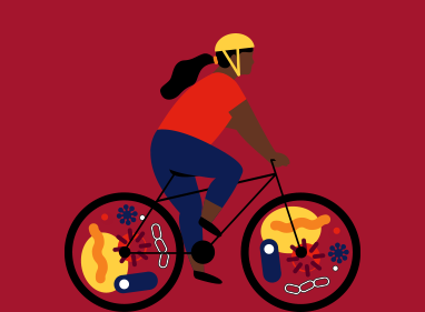 illustration of a person riding a bicycle, within the wheels are illustrations of microbiota