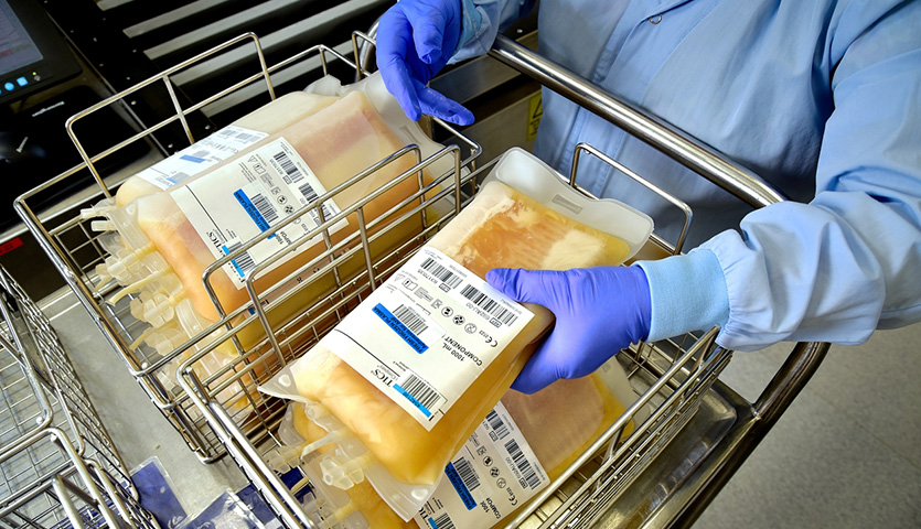 bags of plasma in a trolley with a lab worker picking one up