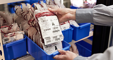image of blood bags in a tray