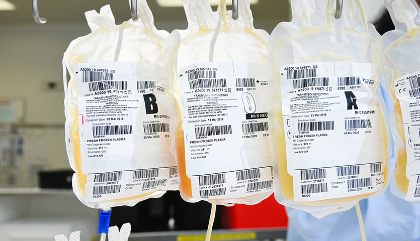 three bags of plasma hanging in a row