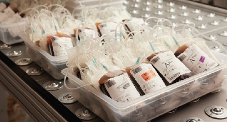 Blood components in bags laying in trays