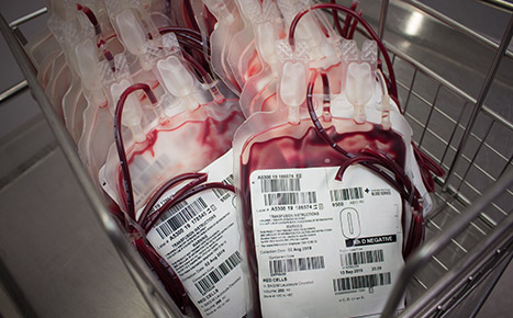 two blood bags picture close up