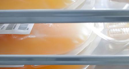 two orange platelets packs