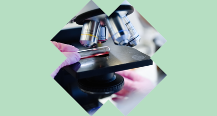 Microscope looking at blood sample thumbnail 