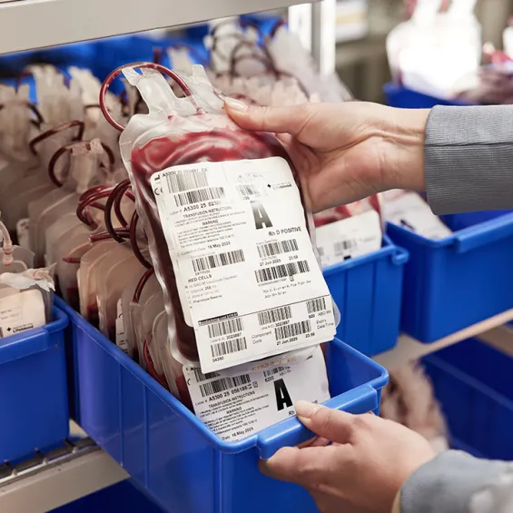 image of blood bags in a tray with person holding blood bag at the front
