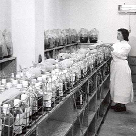 Black and white photograph of a nurse checking blood in storeroom