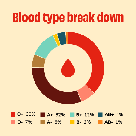 pie chart showing distribution of blood types 